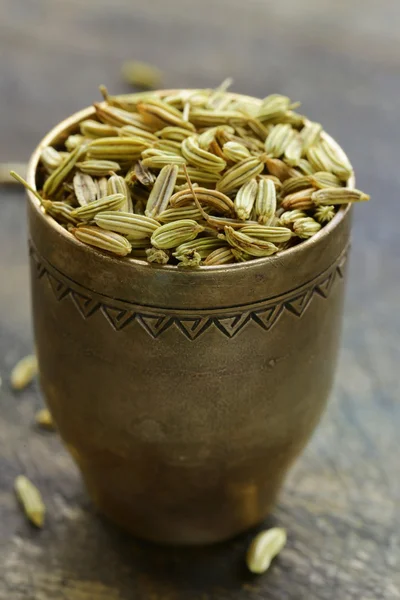 Macro shot fennel seeds, aromatic spice seasoning — Stock Photo, Image