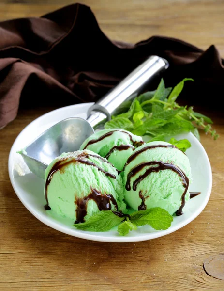 Bolinhas de sorvete de hortelã com erva verde fresca — Fotografia de Stock