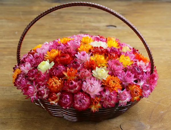 Cesta de mimbre con flores multicolores sobre mesa de madera —  Fotos de Stock