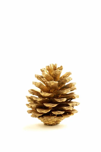 Cone de abeto de Natal dourado em um fundo branco — Fotografia de Stock