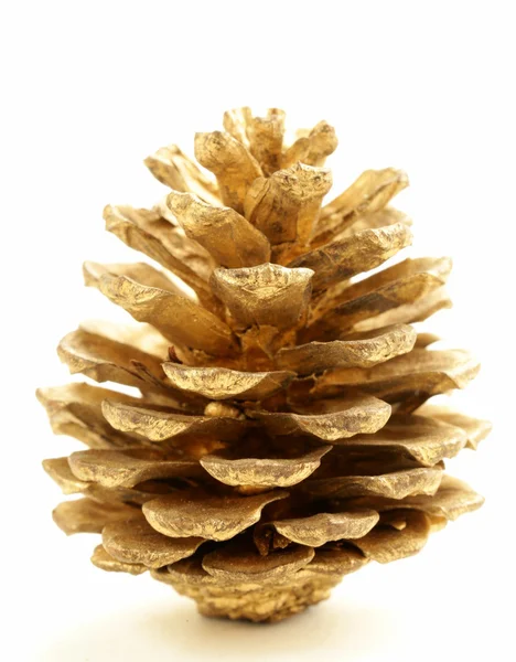 Golden Christmas fir-cone on a white background — Stock Photo, Image