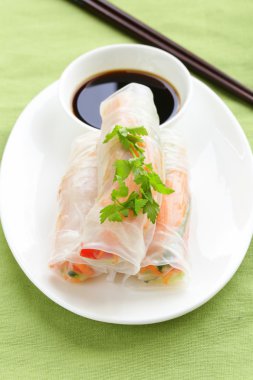 bir tabakta tavuk ve sebze spring rolls
