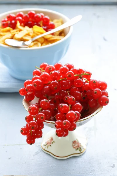 Grosella roja madura dulce ecológica —  Fotos de Stock