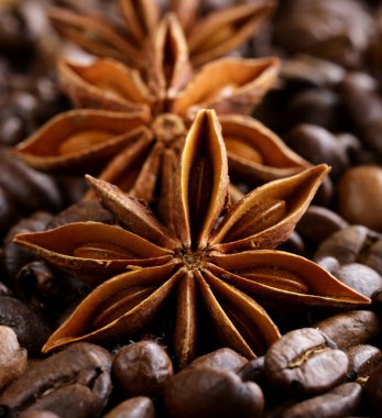 Makro anasonu kahve zemin üzerine vurdu.