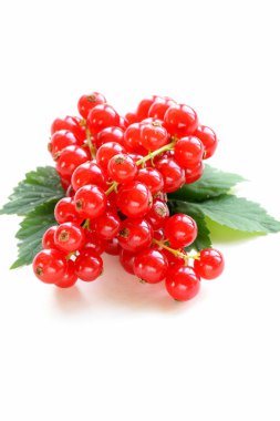 Organik tatlı olgun kırmızı kuş üzümü