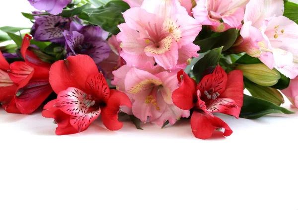 Bukett av blommor orkidéfamiljen (alstroemeria) vackra och färgstarka — Stockfoto