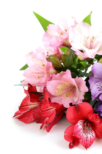 Bouquet of flowers orchid family (Alstroemeria) beautiful and colorful