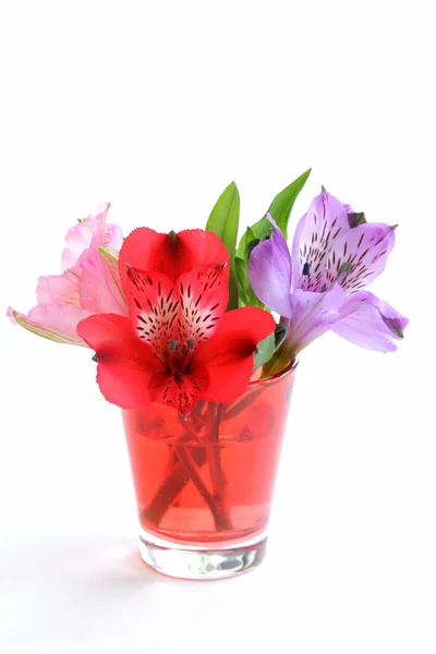 Blumenstrauß Orchideenfamilie (Alstroemeria) schön und bunt — Stockfoto