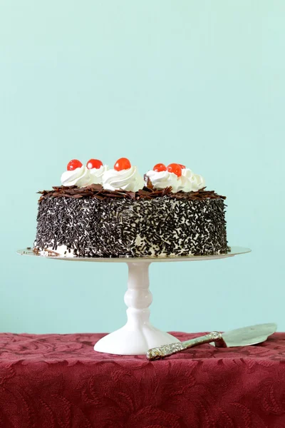 Ciasto czekoladowe z wiśniami — Zdjęcie stockowe