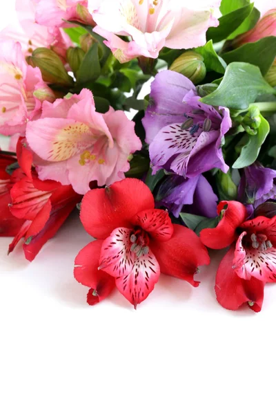 Bukett av blommor orkidéfamiljen (alstroemeria) vackra och färgstarka — Stockfoto