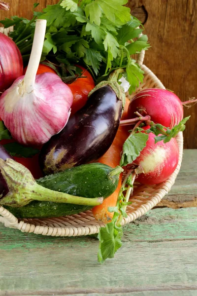 Autumn harvest vegetables (eggplant, carrots, tomatoes, garlic) — Stock Photo, Image