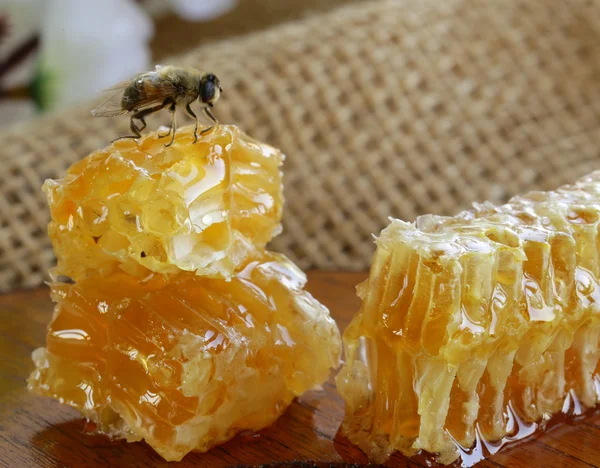 Macro shot di api mellifere su un favo (prodotto naturale ) — Foto Stock