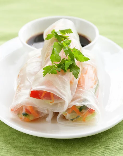 Spring rolls with vegetables and chicken — Stock Photo, Image