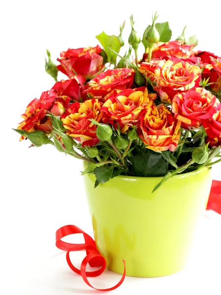 Bouquet di rose rosse — Foto Stock