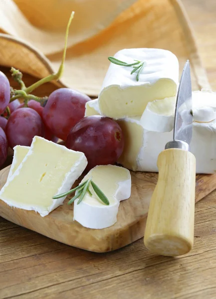 Queijo macio com um molde branco — Fotografia de Stock