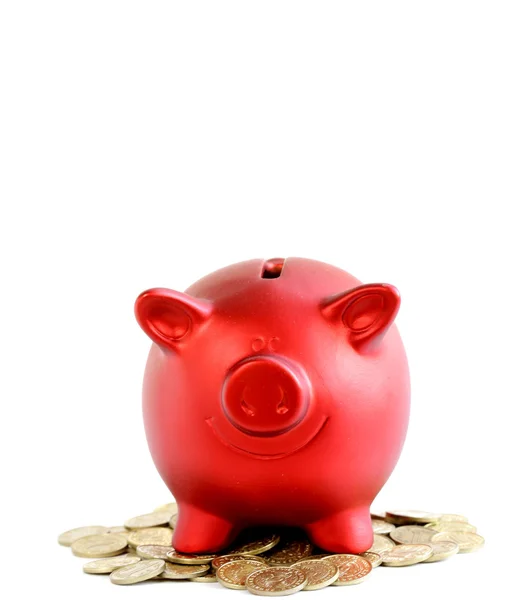 Funny red Pig Piggy with coins on white background — Stock Photo, Image