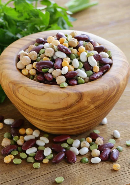 콩의 종류 — 스톡 사진