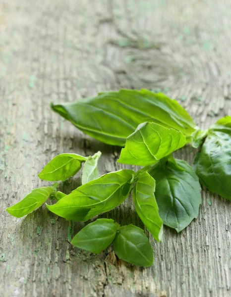 Fresh green basil leaves on a wooden background — Stock Photo, Image