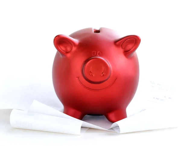 Funny red Pig Piggy on white background — Stock Photo, Image