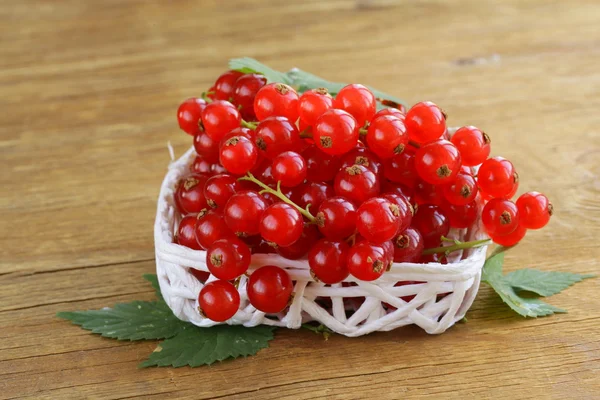 Органічна солодка стигла червона смородина з зеленим листям — стокове фото