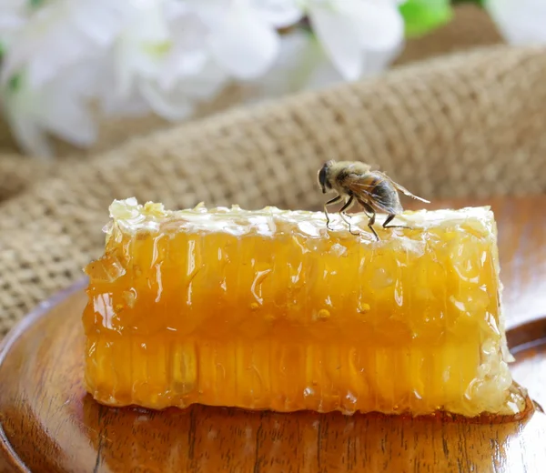 Natürliche süße Bio-Bienenwabe — Stockfoto