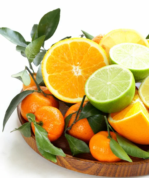 Różne rodzaje owoców cytrusowych (pomarańczowy, limonki, cytryny, mandarynki) — Zdjęcie stockowe