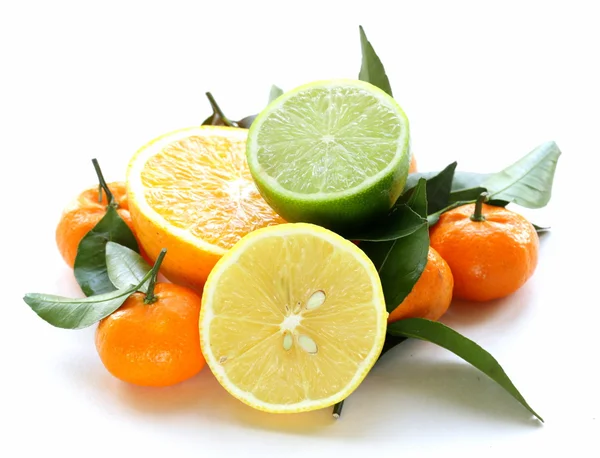 Different types of citrus fruits (orange, lime, lemon, tangerine) — Stock Photo, Image