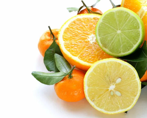 Különböző típusú citrusfélék (narancs, lime, citrom, mandarin) — Stock Fotó