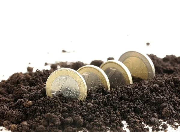 Euro coins grow from the ground - the concept of profit and business development — Stock Photo, Image