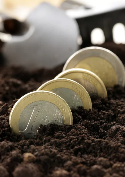 Euro coins grow from the ground - the concept of profit and business development — Stock Photo, Image