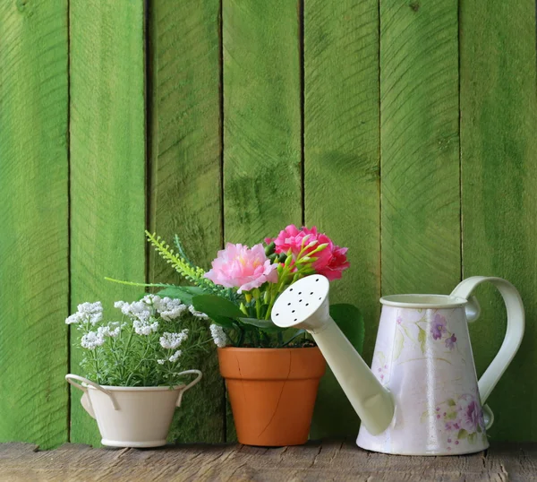 Rustic still life watering can, flowers in pots, garden tools — Stock Photo, Image