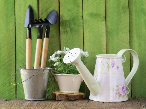 Rustic still life watering can, flowers in pots, garden tools — Stock Photo, Image