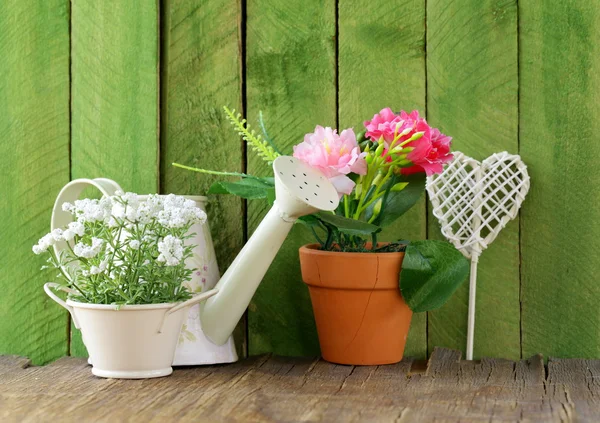 Rustico still life annaffiatoio, fiori in vaso, attrezzi da giardino — Foto Stock