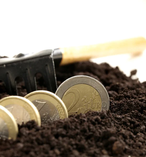 Euro coins grow from the ground (business concept) — Stock Photo, Image