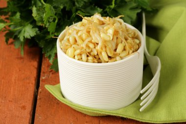 Beyaz bir kase filizlenmiş mung fasulye salatası