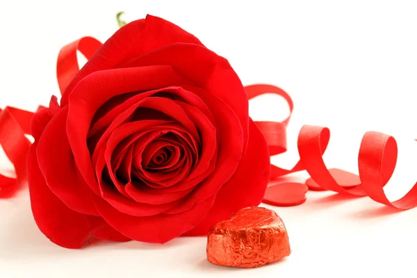 Hermosa rosa roja con una cinta festiva sobre fondo blanco — Foto de Stock