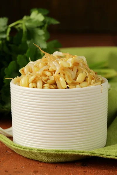 Beyaz bir kase filizlenmiş mung fasulye salatası — Stok fotoğraf