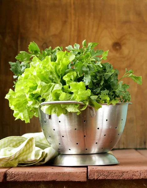 Green lettuce and parsley in a metal colander — Stock Photo, Image