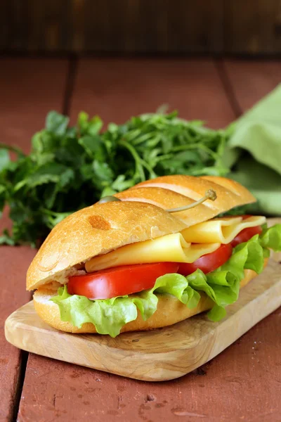 Fresh sandwich with vegetables, green salad and cheese — Stock Photo, Image