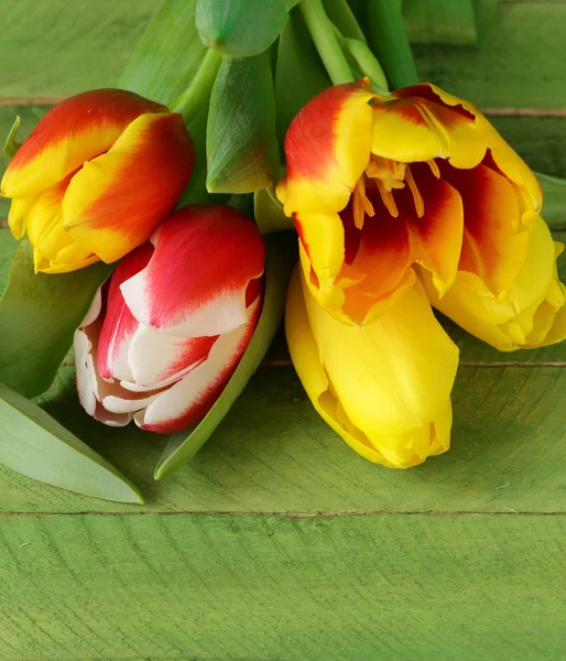 Flores de tulipanes de primavera sobre fondo de madera —  Fotos de Stock