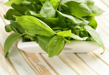 ahşap bir masa üzerinde organik taze yeşil fesleğen