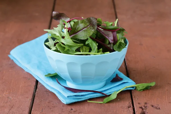 Mescolare l'insalata (rucola, iceberg, barbabietola rossa) in una ciotola — Foto Stock