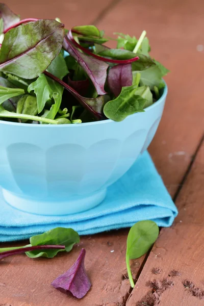 Змішайте салат (аргула, айсберг, червоний буряк) в мисці — стокове фото