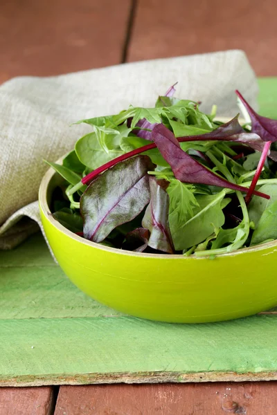 Bland salat (arugula, isbjerg, rødbeder) i en skål - Stock-foto
