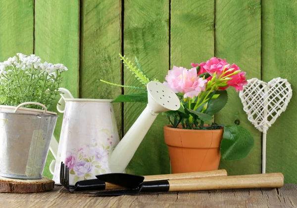 Rustic still life watering can, flowers in pots, garden tools — Stock Photo, Image