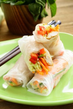 bir tabakta tavuk ve sebze spring rolls