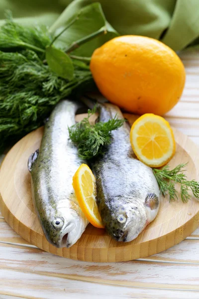 Färska råa öring fisk ombord kök — Stockfoto