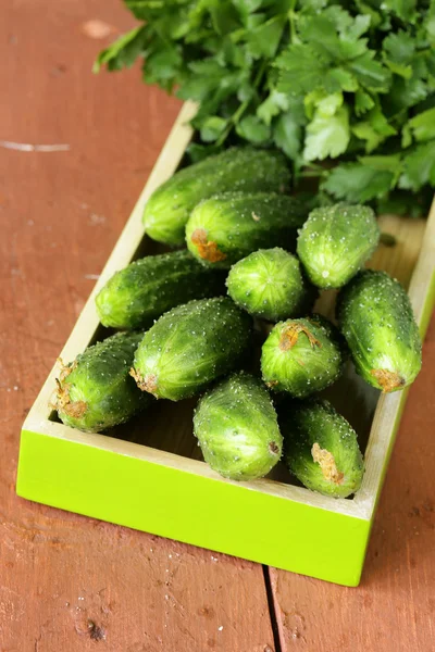 Pepinos verdes maduros frescos em uma mesa de madeira — Fotografia de Stock