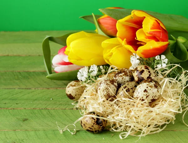 Easter still life with spring flowers tulips and quail eggs on a wooden background — Stock Photo, Image