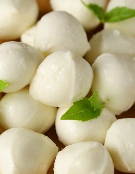 Pequeñas bolas de queso mozzarella con hojas de albahaca —  Fotos de Stock